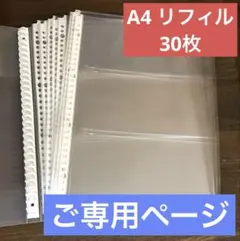 はなちゃん様ご専用ページ 30枚