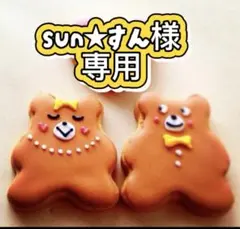 sun★すん様専用