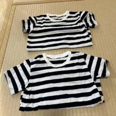 ストライプ 半袖Tシャツ 2枚セット 120