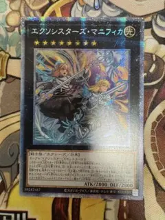 2025年最新】マニフィカ プリシクの人気アイテム - メルカリ