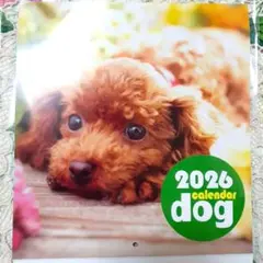 2026 カレンダー dog 犬のサムネイル