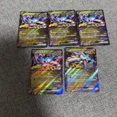 タケルライコ rr 5枚セット