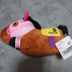 ●サラコレ　ハルウララ