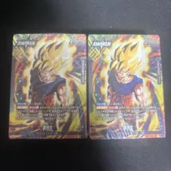 気の躍動　２個　スタートデッキ　デッキのみ