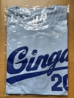 2026いわて銀河マラソン　Tシャツ ライトブルー Lサイズのサムネイル