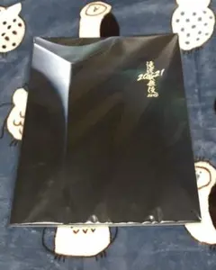 滝沢歌舞伎ZERO 2021 公式パンフレット 阿部亮平 フォトセット