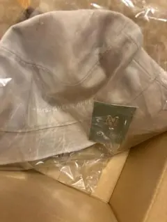 Item thumbnail for item 00ea54a0-a929-46f3-80f0-d101d631f92e