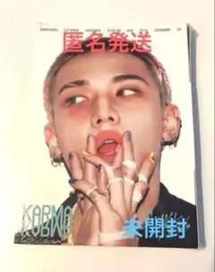 未開封Stray Kids KARMA アコーディオン　ヒョンジン