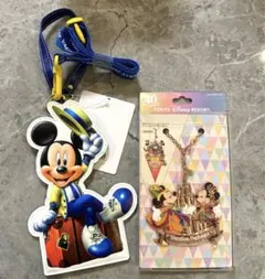 ディズニー　40周年　バケーションパック限定バックチャーム　チケットホルダー