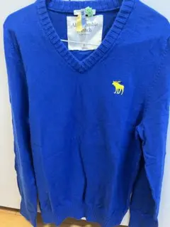 【新品タグ付】アバクロンビー&フィッチ Vネックニット ブルー Lサイズのサムネイル