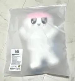 SEVENTEEN セブチ ボンボンイ ペンライトケース