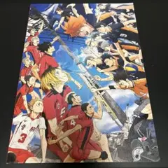 ハイキュー!! ゴミ捨て場の決戦 パンフレット【4/4まで】