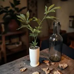 光触媒　フェイクグリーン　◯◯ファナ　観葉植物　◯麻　花付き　造花　草　6037のサムネイル