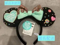 【新品未使用】ヴァネロペ　カチューシャ　ディズニー　パルパルーザ