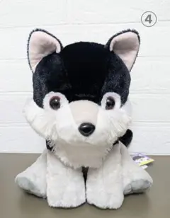 くったりボーダーコリー ネロ JB ぬいぐるみ - メルカリ