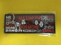 2025年最新】マキシマムザホルモン フライトタグの人気アイテム - メルカリ