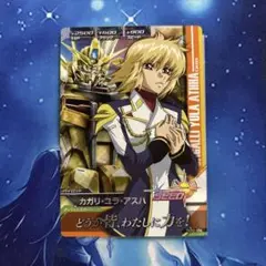 2025年最新】カガリ・ユラ・アスハカードの人気アイテム - メルカリ