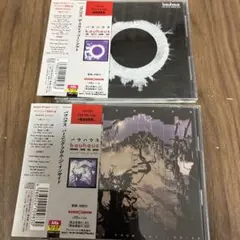 バウハウスBurning From The Insideスカイズゴーンアウト