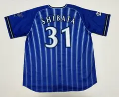 横浜DeNAベイスターズ 石田健大 キッズユニフォーム 14【美品】 - メルカリ