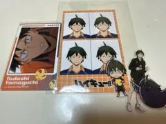 ハイキュー　山口忠