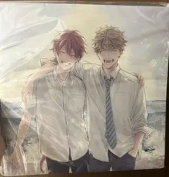 2025年最新】ギヴン 全巻 lpサイズディスク収納ケースの人気アイテム