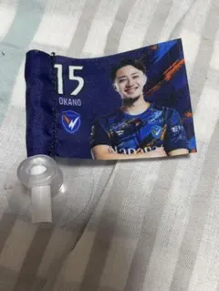 Item thumbnail for item 6939c6f2-4f74-4353-96cc-ab21c90c033e