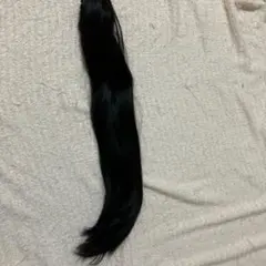 Item thumbnail for item cb8d475f-469a-420a-849e-c257afcb4076