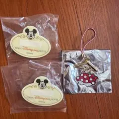 宿泊者限定‼️東京ディズニーランドホテル キャスト風バッジ 2個セット おまけ付き