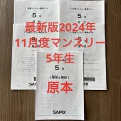 2025年最新】サピックス 5年 11月の人気アイテム - メルカリ