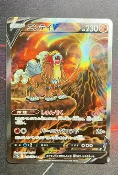 (美品)エンテイV SAR S12a VSTARユニバース 213/172