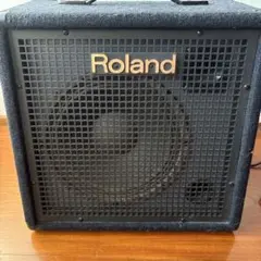 2026年最新】roland KC-100の人気アイテム - メルカリ