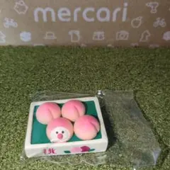 【箱入り桃文鳥】ミニチュア　concombre