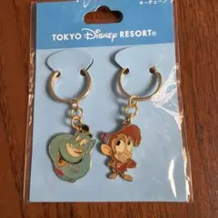 東京ディズニー　アラジン