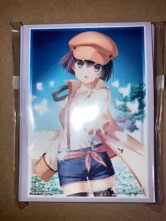 hobby販売/コメントはお気軽に!!様 リクエスト 4点 まとめ商品