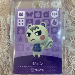 2026年最新】あつ森amiiboジュンの人気アイテム - メルカリ