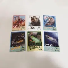 鳥羽水族館 70周年記念 TOBA AQUARIUM コレクションカード