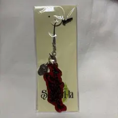 2025年最新】acid black cherry キーホルダーの人気アイテム - メルカリ