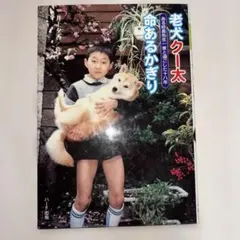 Item thumbnail for item 746d3020-81b7-486c-a917-4e3bf19dd546