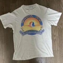 超希少 1984 GRATEFUL DEAD VENTURA Tシャツ USA製 超希少 1984 GRATEFUL DEAD VENTURA Tシャツ USA製 - メルカリ