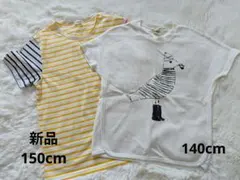 新品含む　Bee des Bee　Tシャツセット　 140・150センチ
