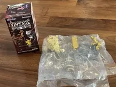 ポケモン VINTAGE COLLECTION サーフゴー　リーメント