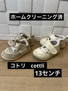 《ホームクリーニング済》ベージュ　ホワイト系　cottli コトリ　13センチ