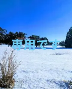 ヴェル様専用になります。