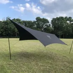 オガワ カナディアンイーストフィールド タープ ヘキサST スノピのペグ