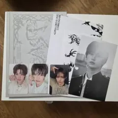 【タワレコ特典付】ALD1 少年BEAST Fragile Beast アンシン