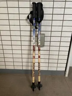 JoyStick スキーストック 伸縮式 Pep Fujusモデル