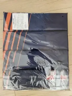 大宮アルディージャ　折り畳みシートクッション