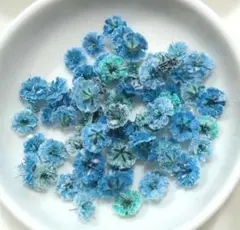 No,360☘️かすみ草のドライフラワー