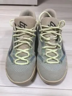 【ヒロシさん専用】PUMAバスケットボールシューズ(女性用) 24.5cm