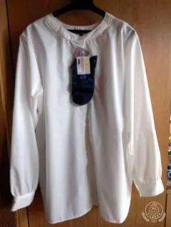 Item thumbnail for item fa731937-67e1-4ab3-8cc4-6385e0ac4ba0